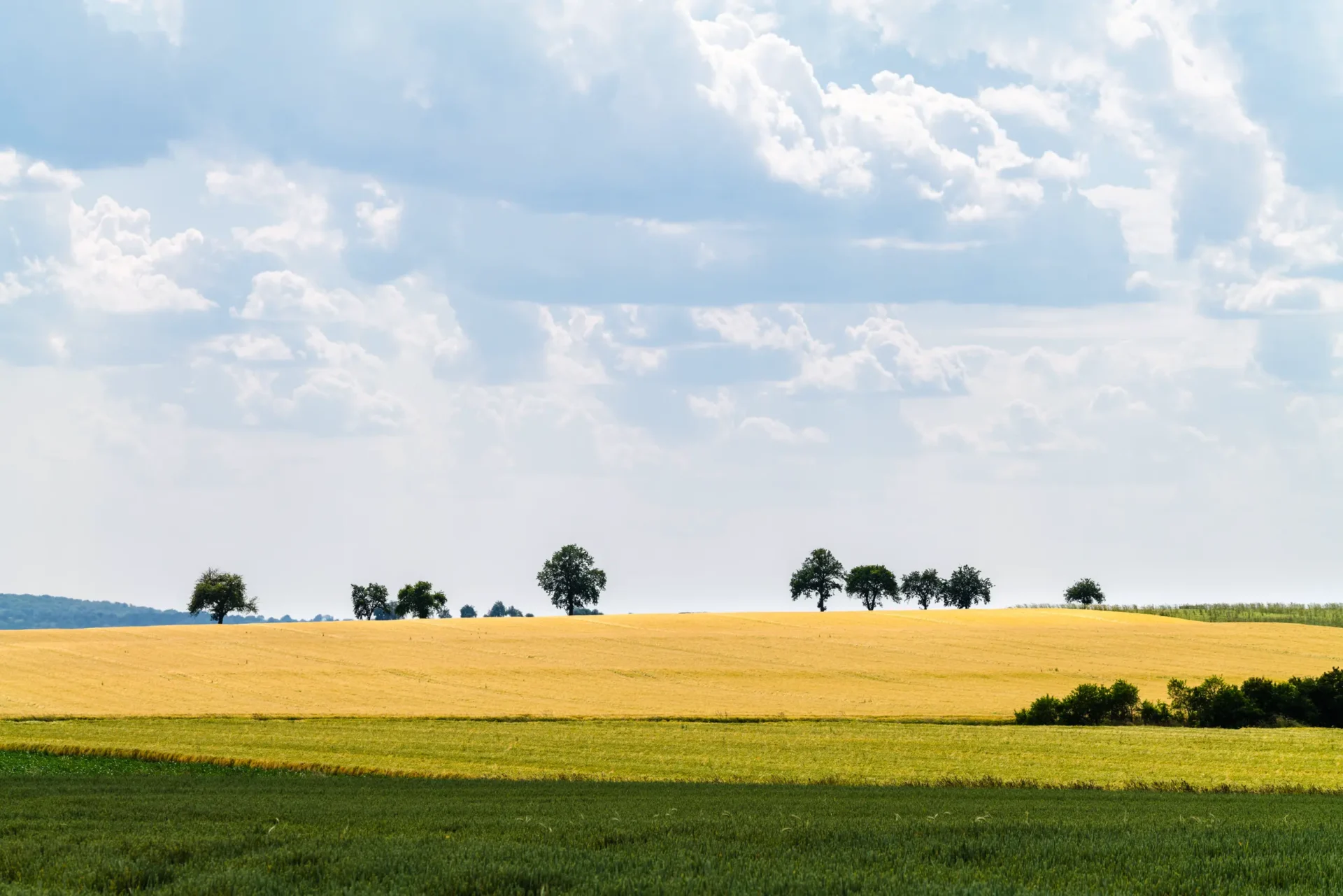 Landschaft im Landkreis Neustadt an der Aisch, Bad Windsheim in Mittelfranken. Hier im Umkreis befinden sich zahlreiche Übernachtungsmöglichkeiten in Hotels und Pensionen für einen Hochzeitsevent oder Fine Dining Abend im Winzerhof Stahl Auernhofen.